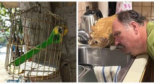 28 фотодоказательств того, что вселенная обладает превосходным чувством юмора (29 фото)