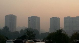 Киев по-прежнему окутан смогом: когда воздух станет чище и как спастись от вредной дымки