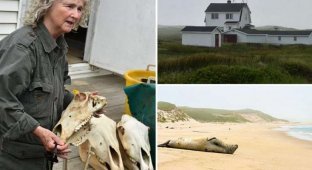Она уже 40 лет живёт в одиночестве на удаленном острове, покрытом туманами 127 дней в году (7 фото)