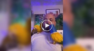 Parrot likes it when a cup is put on it