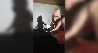 Театр теней