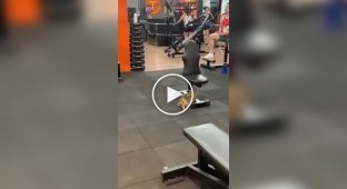 Motivation killer: a cat relaxes in the gym