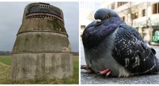A fantasy dovecote-hive that has become an architectural heritage of antiquity (11 photos)