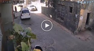 Motorcyclists and a herd of cows did not share the road in India