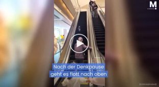A cat unsuccessfully attempted to climb an escalator at a shopping mall in Shanghai.