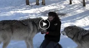Girl with two huge wolves