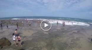 Внезапная 8-метровая волна накрыла пляж Сиднея