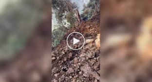 The dog rode in a landslide and remained unharmed