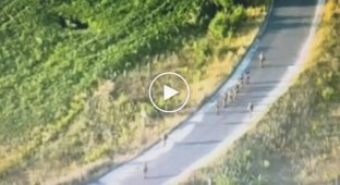 A group of Russian prisoners of war walks under escort along the road in the Kursk region of the Russian Federation