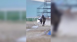 Подъем хадака на скаку — зрелищный элемент монгольской джигитовки