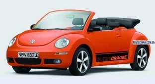 Специальная версия Volkswagen Beetle (8 фото)