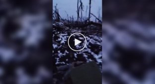Донецкая область. Российская бронеколонна атакует украинские позиции