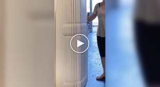 Unusual flexible doors