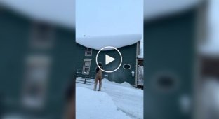 Неудачные попытки сбить снег с крыши