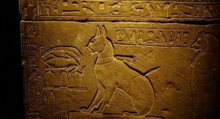 Культ кошки в Древнем Египте (3 фото)