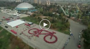 В Чили собрали живую «скульптуру» из 3 тысяч человек и поставили новый мировой рекорд