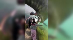 Face to face with a crocodile: Transparent tunnel at Miami Zoo
