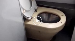 Портал в ад. Украинская железная дорога испугала пассажиров новыми туалетами