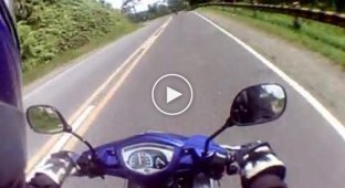 Мотоциклист сбил собачку. Жалко