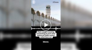 Пилоты самолета мяукали и гавкали во время полета