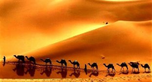 Великий шёлковый путь: почему в колодцах посреди пустыни всегда была вода (7 фото)