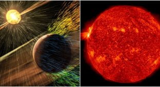 10 interesting discoveries about the Sun for 2023 (11 photos)