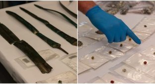 Bronze Age swords and a treasure of Slavic coins were found in Germany (5 photos)