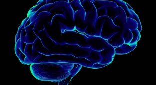 Невероятные факты о человеческом мозге (10 фото)