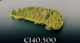 An Island in Sweden is Selling for 140 thousand euros (6 photos)