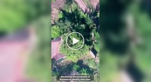 Drone operators from the Magyar Birds unit discovered a base of Russian FPV drone operators and destroyed it