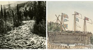 Плавучие лесопилки: неоднозначный проект британских судостроителей (5 фото)