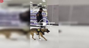 Служебный пес узнал своего первого хозяина и моментально растаял