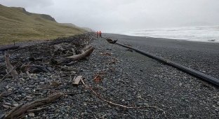 Неизвестный объект на пляже Новой Зеландии (4 фото)
