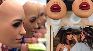 Как производятся секс-куклы RealDoll: экскурсия на завод (12 фото + 1 видео)