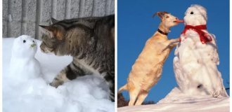 25 прикладів зворушливого знайомства домашніх вихованців з милими сніговиками та власними сніговими копіями (26 фото)