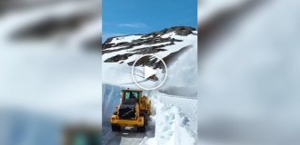 A winter fairy tale in Norway: Snow removal in style