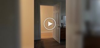 Джексон не хоче йти в кімнату