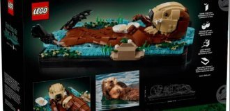 Heartfelt Lego set (7 photos + video)