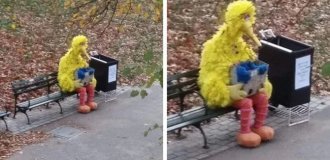 19 Photos With More Drama Than Any Daytime Talk Show (19 photos)
