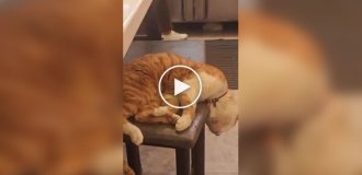 Максимальная забота о клиенте