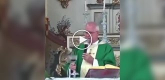 In Portugal, during a church service, a parrot flew into a church to drink wine