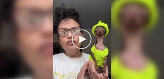 Яркий костюм превращает собачку в мини-Снуп Дога