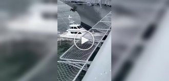Пьяный капитан яхты врезался в американский авианосец в гавани Сан-Диего и уплыл