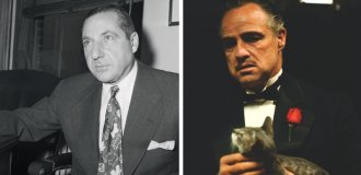 The story of Frank Costello, the real Godfather of the New York mafia (8 photos)