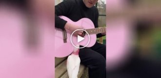 Парень спел попугаям