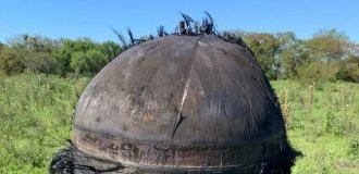 В Аргентине неопознанный мохнатый объект упал на ферму (4 фото)