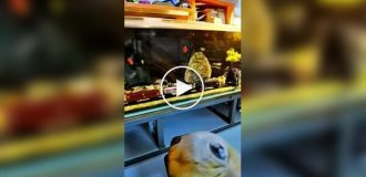 Китайський майстер зібрав підводний поїзд для акваріума