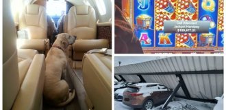30 фотографии людей, поймавших удачу за хвост (31 фото)