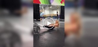 Цирковая артистка продемонстрировала удивительную растяжку