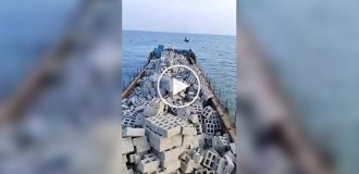 Подводный оазис: как создание искусственных рифов спасает океан